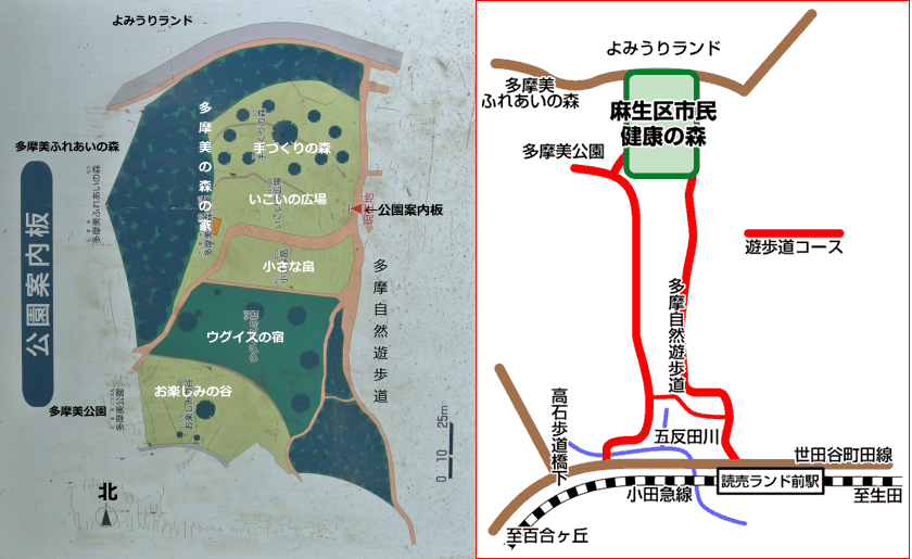 ac-tamamipark-map